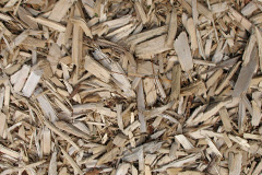 biomass boilers Beardwood